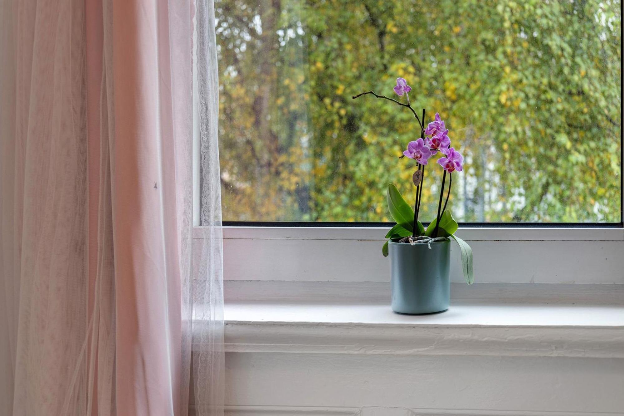 Haus Sonnenschein Lejlighed Hamborg Eksteriør billede